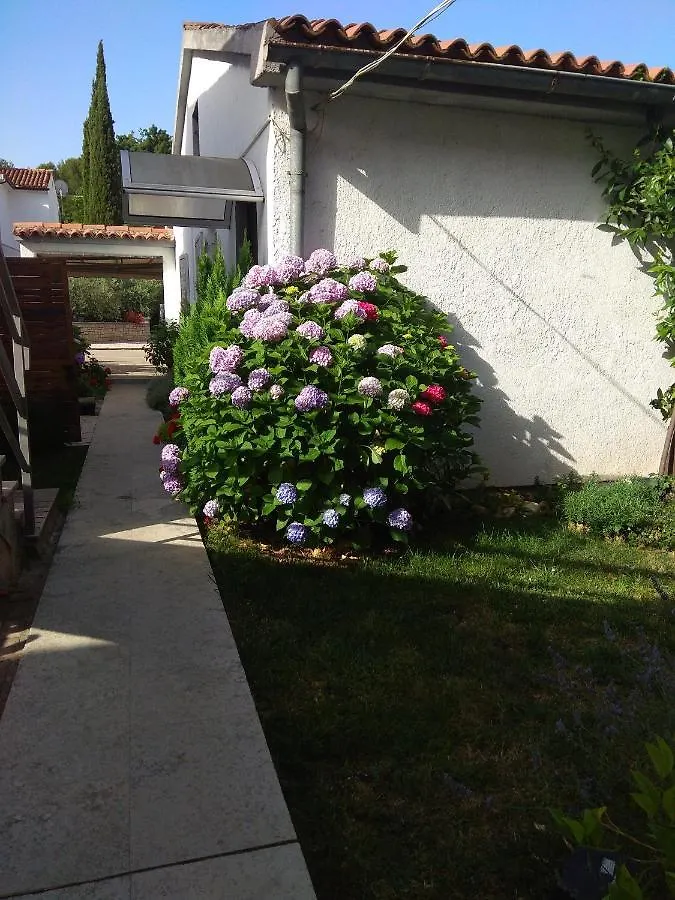 Apartment Nebo Porec 0*,